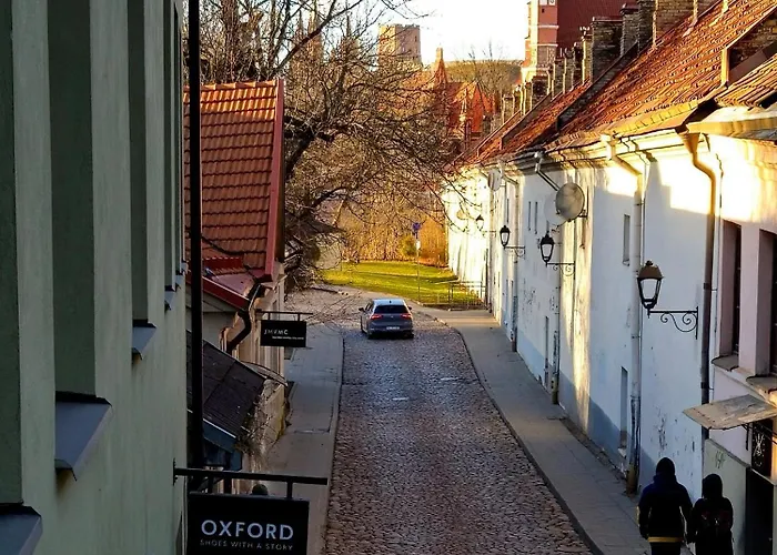 Uzupis Deluxe Retreat In Old Town Lejlighed *