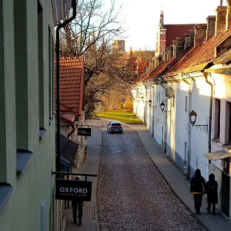 Uzupis Deluxe Retreat In Old Town Lägenhet *